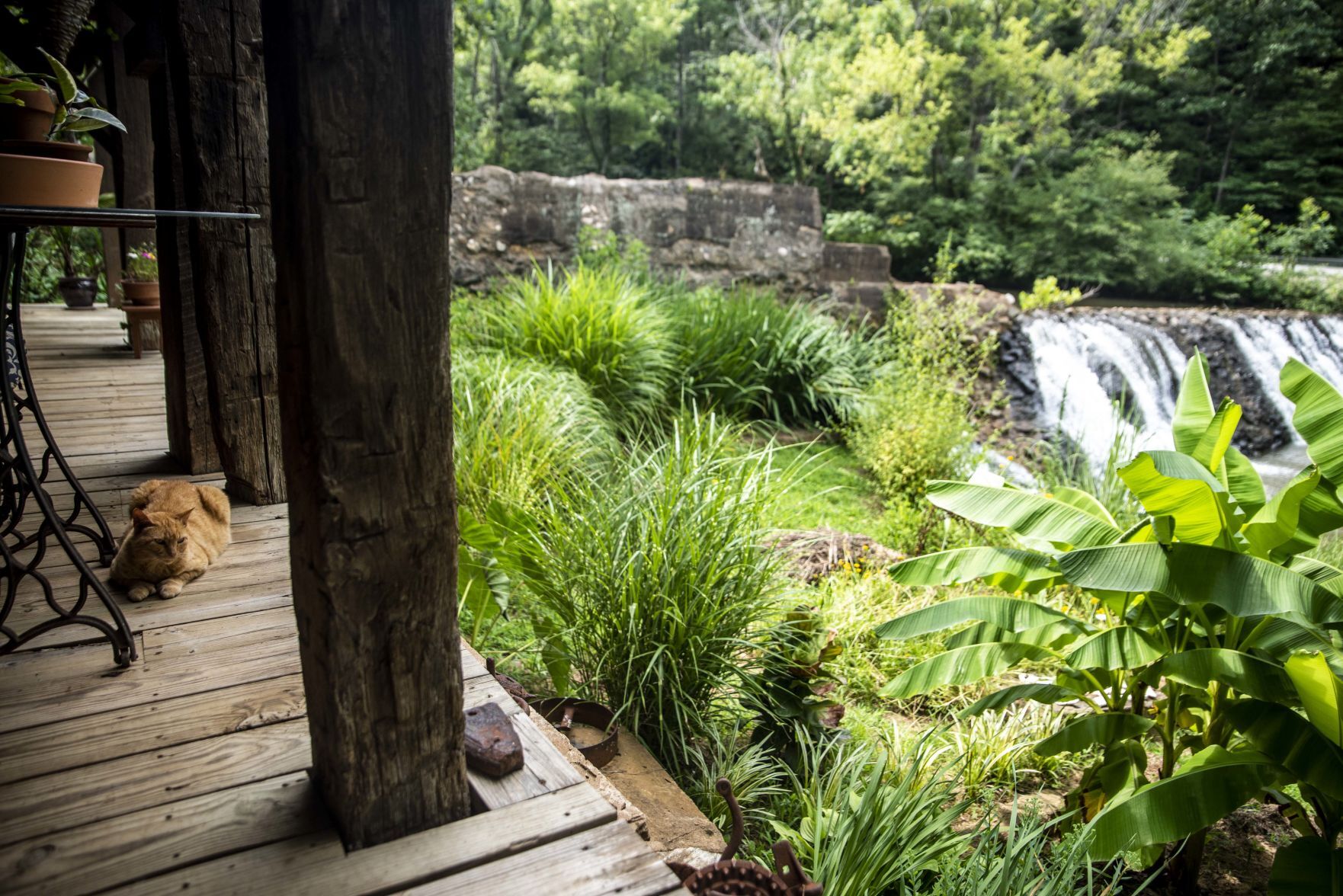 Welcome Home, Stonewall Mill